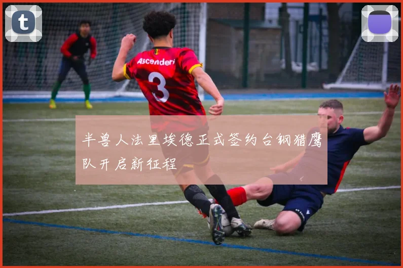 半兽人法里埃德正式签约台钢猎鹰队开启新征程