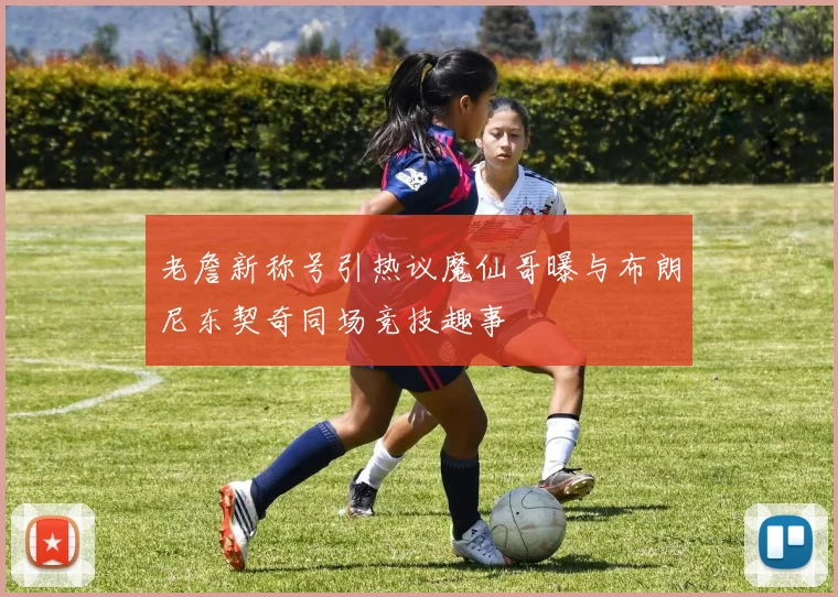 老詹新称号引热议魔仙哥曝与布朗尼东契奇同场竞技趣事